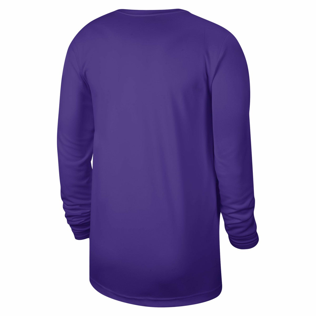 Nike Sacramento Kings Unisex 2023/24 Legend On-Court Practice Long Sleeve T-Shirt