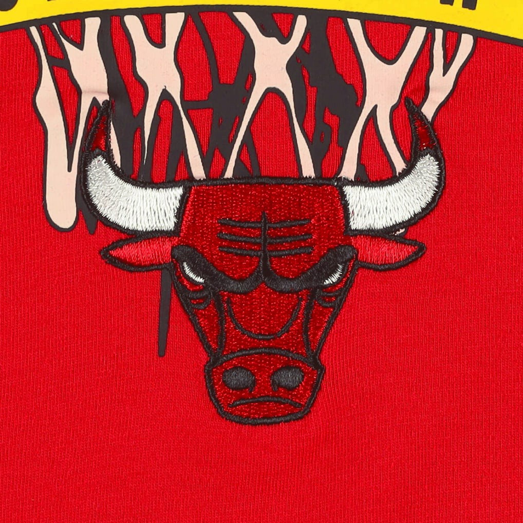 Chicago Bulls Tommy Jeans Tim Backboard T-Shirt sale