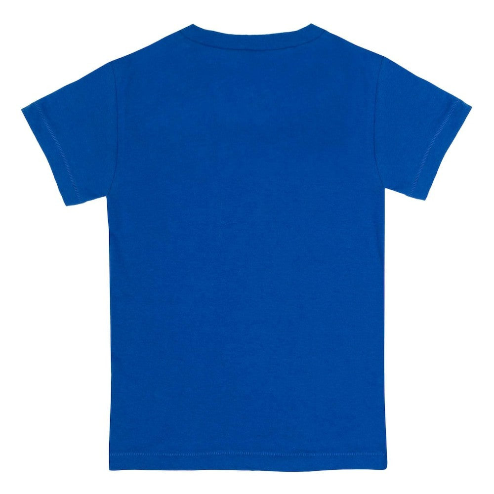 Royal Chicago Cubs Tiny Turnip Youth Base Stripe T-Shirt