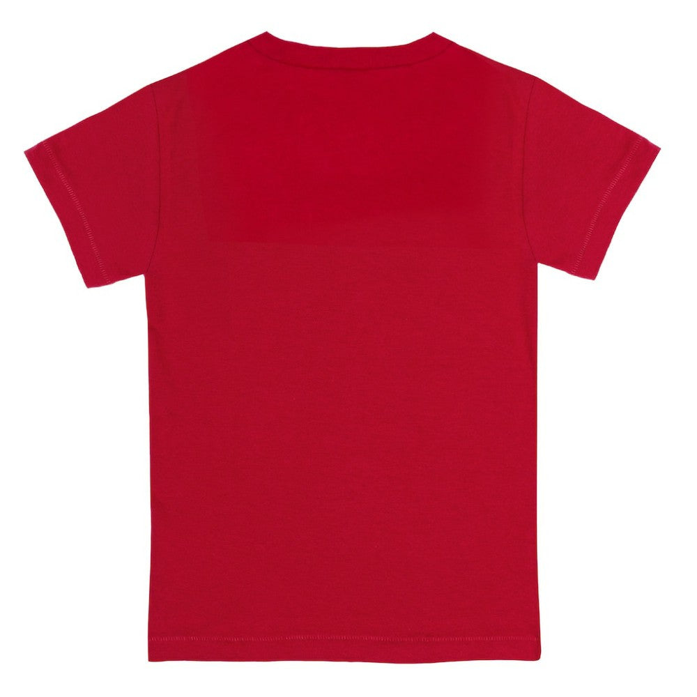 Red Boston Red Sox Tiny Turnip Youth Teddy Boy T-Shirt
