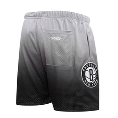 Brooklyn Nets Pro Standard Ombre Mesh Shorts