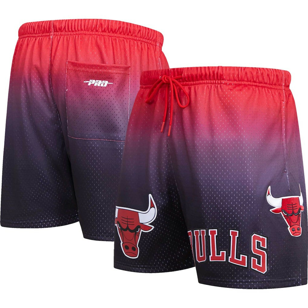 Chicago Bulls Pro Standard Ombre Mesh Shorts