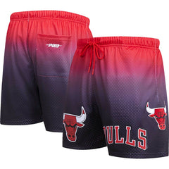 Chicago Bulls Pro Standard Ombre Mesh Shorts