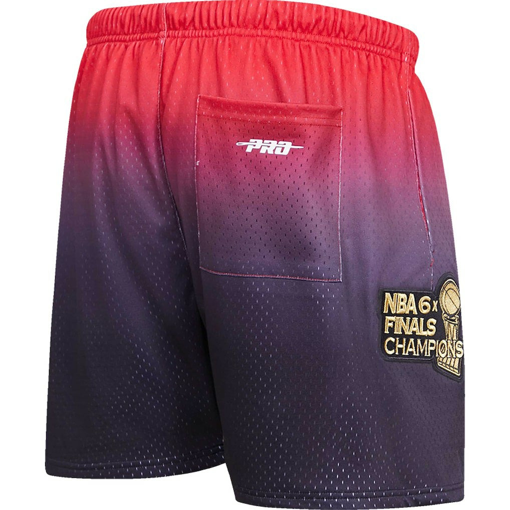 Chicago Bulls Pro Standard Ombre Mesh Shorts