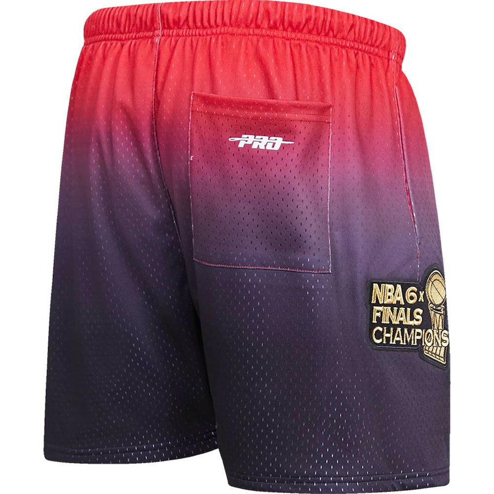 Chicago Bulls Pro Standard Ombre Mesh Shorts