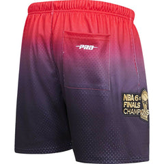 Chicago Bulls Pro Standard Ombre Mesh Shorts