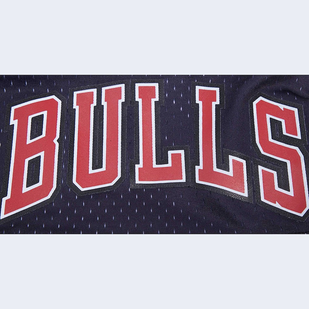 Chicago Bulls Pro Standard Ombre Mesh Shorts
