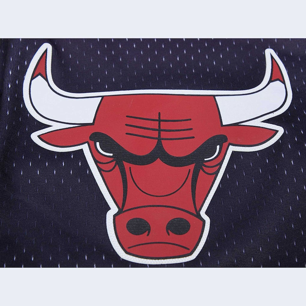 Chicago Bulls Pro Standard Ombre Mesh Shorts