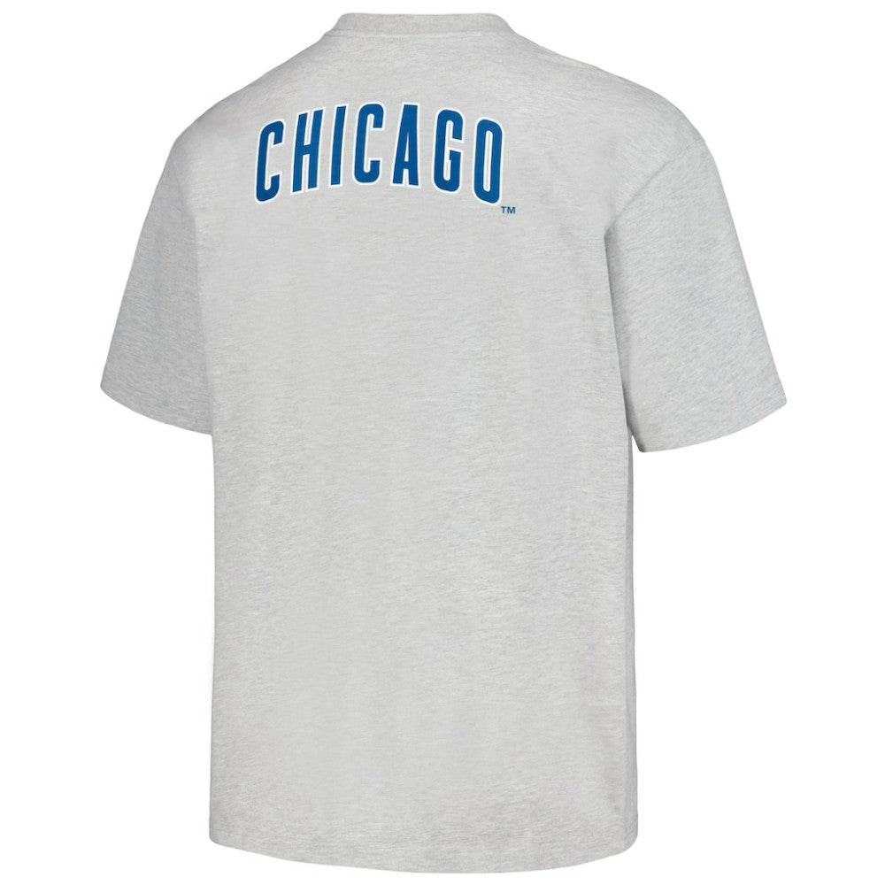 Gray Chicago Cubs PLEASURES Mascot T-Shirt