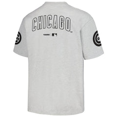 Gray Chicago Cubs PLEASURES Team T-Shirt