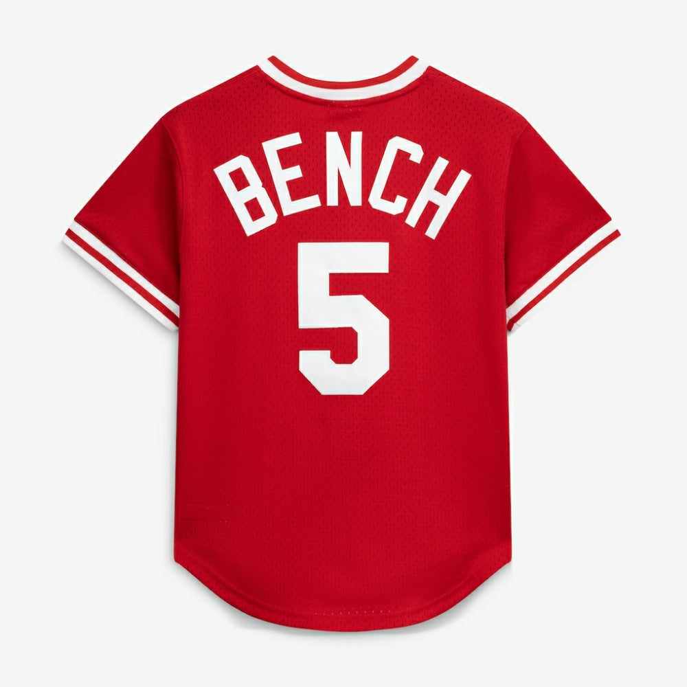 Scarlet Johnny Bench Cincinnati Reds Mitchell & Ness Authentic Batting Practice Jersey