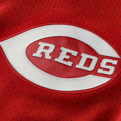 Scarlet Johnny Bench Cincinnati Reds Mitchell & Ness Authentic Batting Practice Jersey