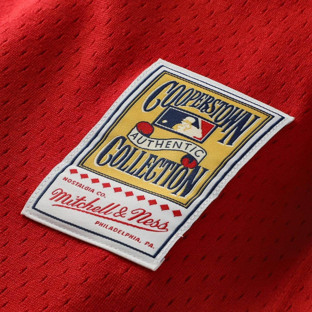 Scarlet Johnny Bench Cincinnati Reds Mitchell & Ness Authentic Batting Practice Jersey