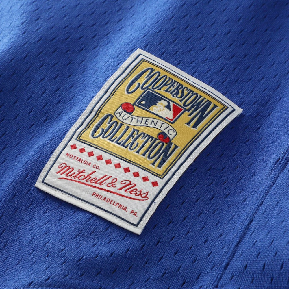 Royal Nolan Ryan Texas Rangers Mitchell & Ness Authentic Batting Practice Jersey
