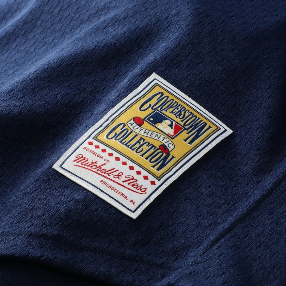 Navy Craig Biggio Houston Astros Mitchell & Ness Authentic Batting Practice Jersey