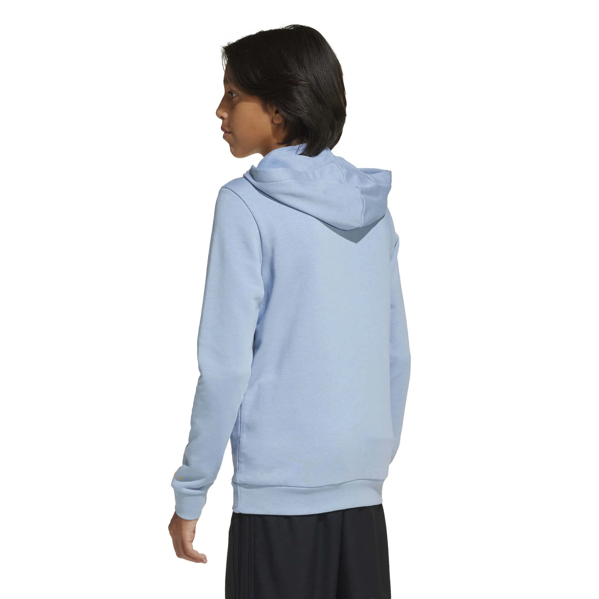 2025-26 Argentina Youth Anniversary DNA Soccer Hoodie