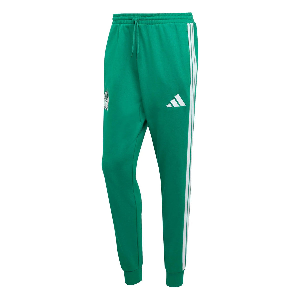 2026 Mexico Men's DNA Pants